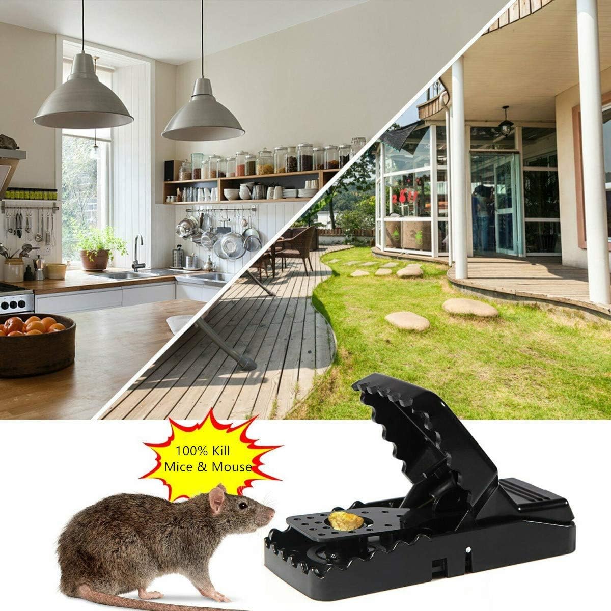 Heavy Duty Plastic Mouse Trap - Trend Oye