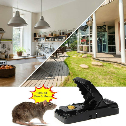 Heavy Duty Plastic Mouse Trap - Trend Oye