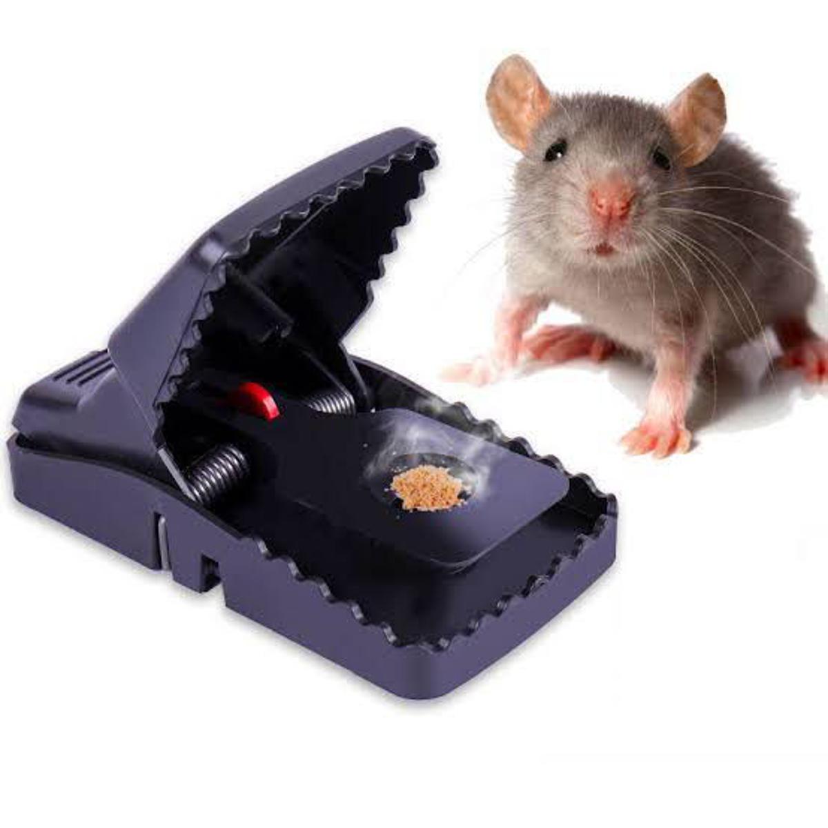 Heavy Duty Plastic Mouse Trap - Trend Oye